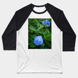 Fresh blue hydrangea flowers and bush Baseball T-Shirt